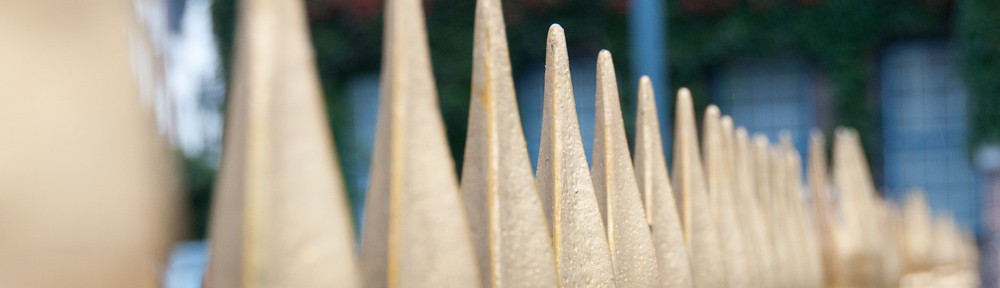 fotografie-header-0855